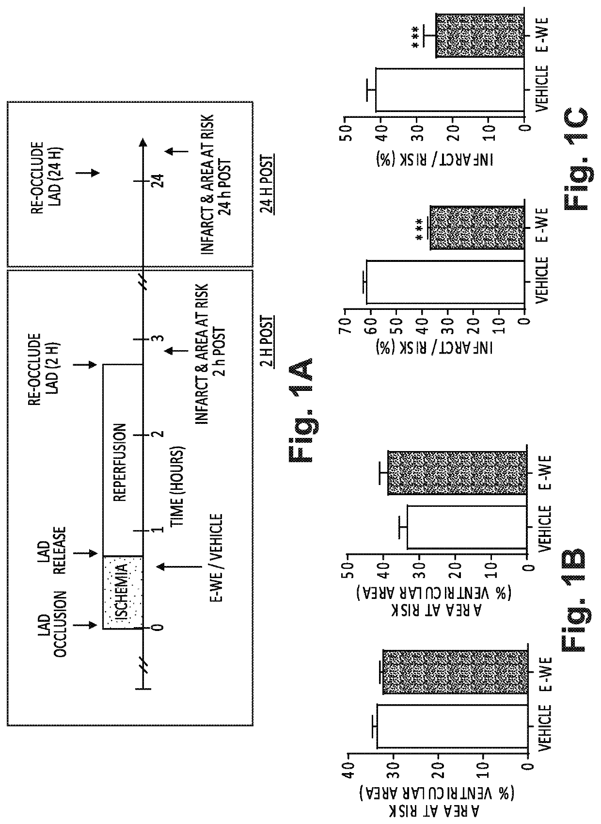 E-we thrombin analog and fibrinolytic combination