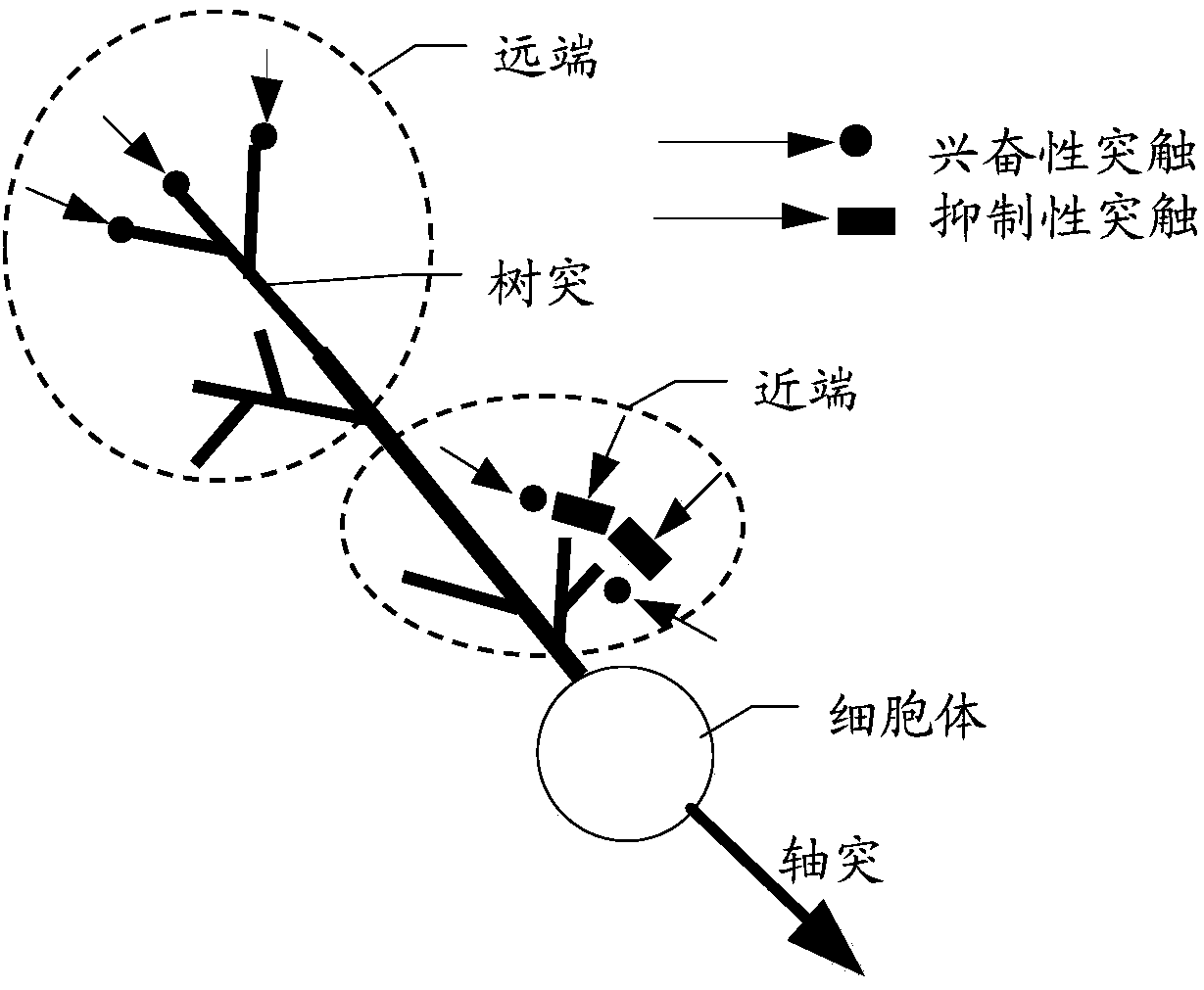 Neural network, information processing method thereof, and information processing system thereof