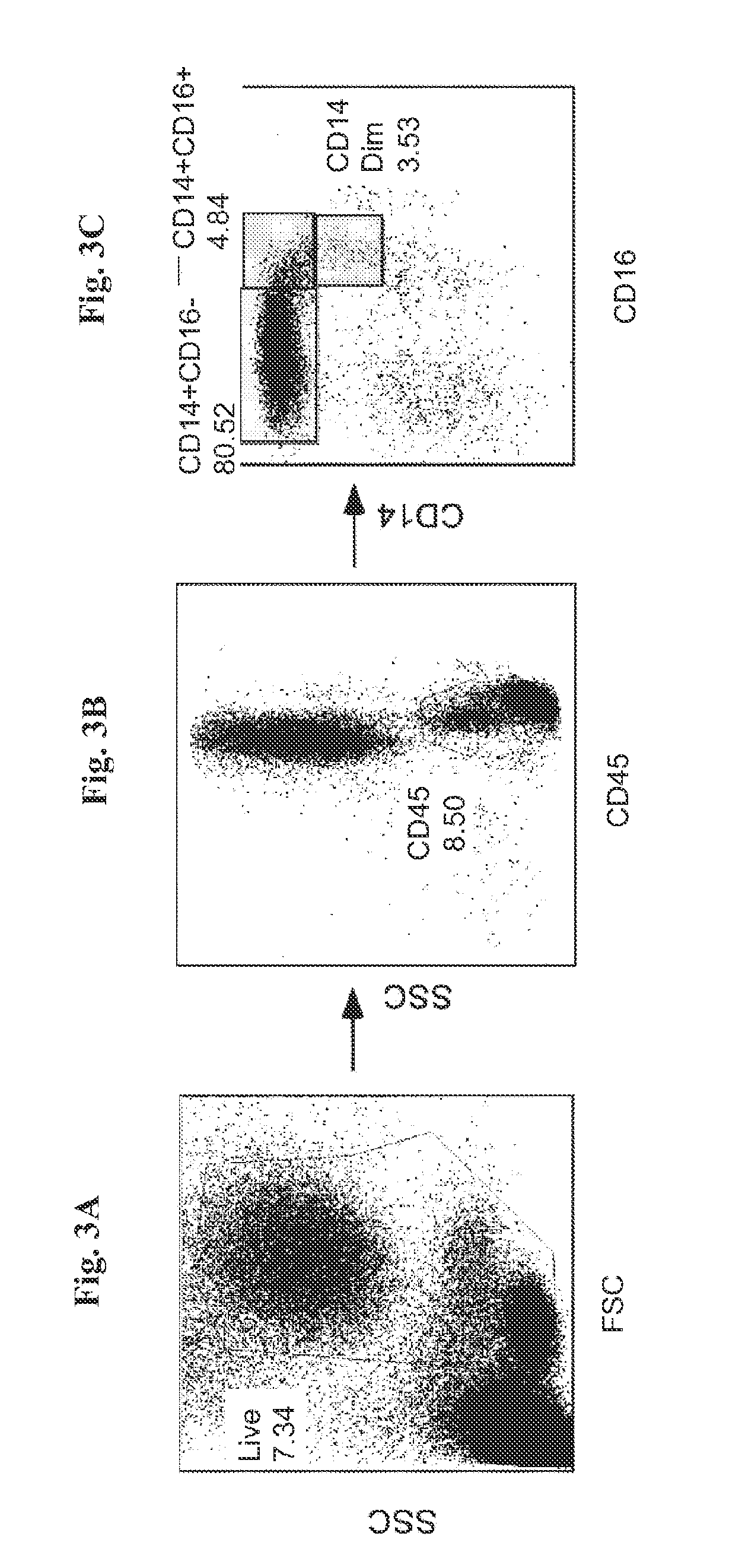 Human monocyte sub-population for treatment of central nervous system injury