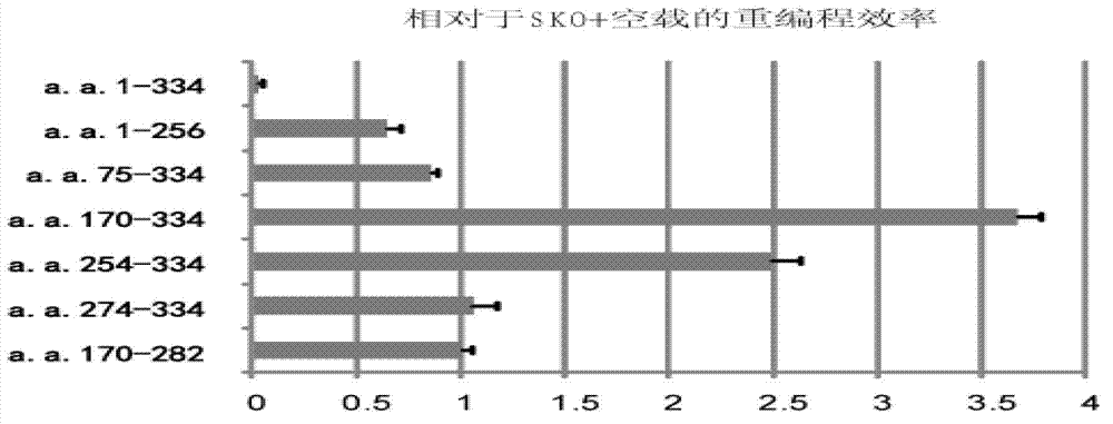 Method of inducing pluripotent stem cells throuhg c-Jun N terminal deletion and applications