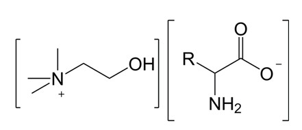 Method for increasing enzymolysis efficiency of rice straws through choline and amino acid ionic liquid pretreatment