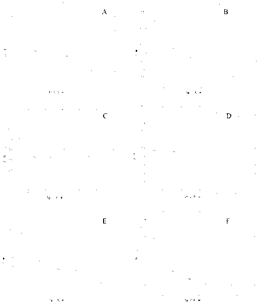 Filter tip trapped benzopyrene concentration distribution pattern measuring method