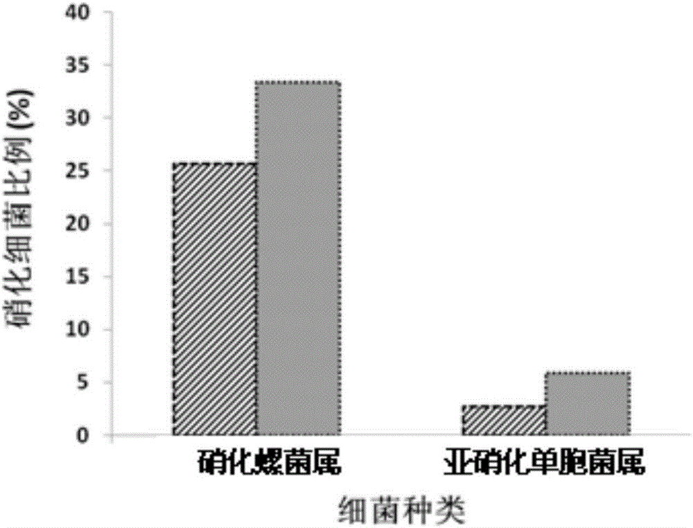 Water treatment method capable of regulating and controlling rapid start of nitrification effect of biological membrane