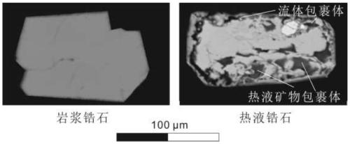 Mineral exploration method for judging mineralization of granite body by using zircon