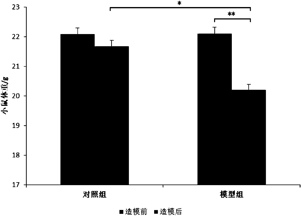 Gelatin small peptide or collagen tripeptide chelated calcium magnesium and preparation method thereof