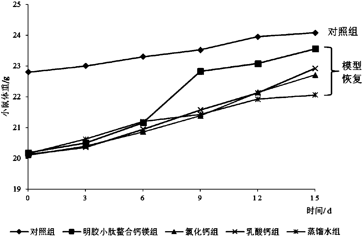 Gelatin small peptide or collagen tripeptide chelated calcium magnesium and preparation method thereof