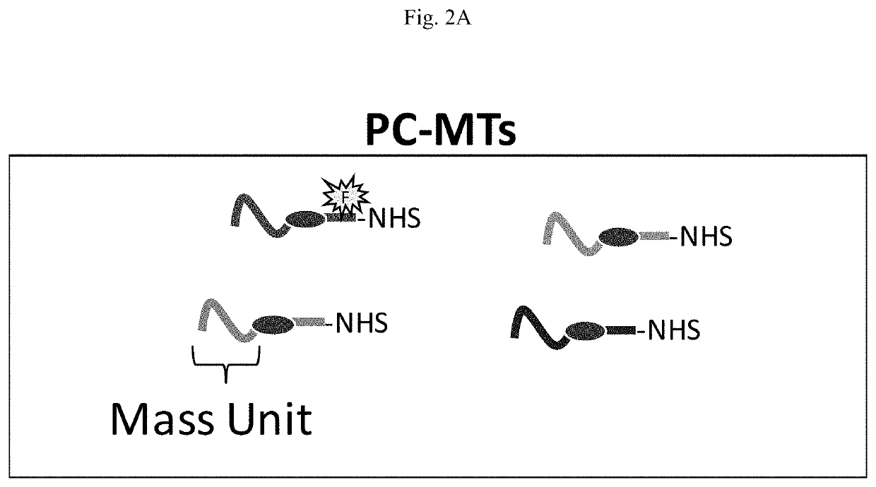 Photocleavable mass-tags for multiplexed mass spectrometric imaging of tissues using biomolecular probes