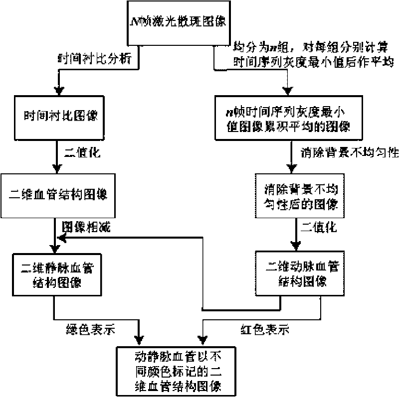 Laser imaging method and device for automatically cutting artery blood vessel and vein blood vessel