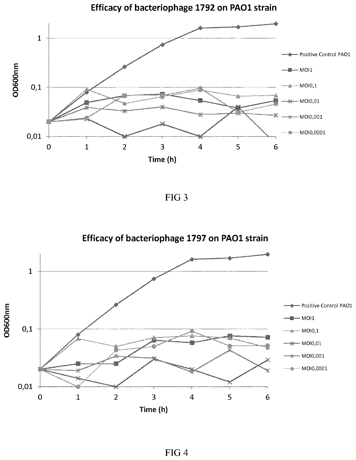 Phage therapy