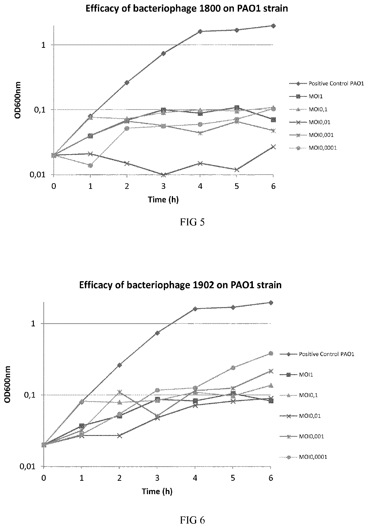 Phage therapy