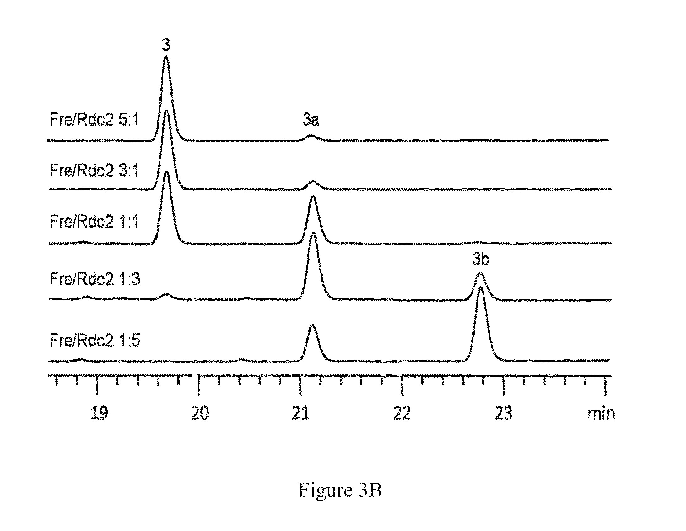 Halogenation enzymes