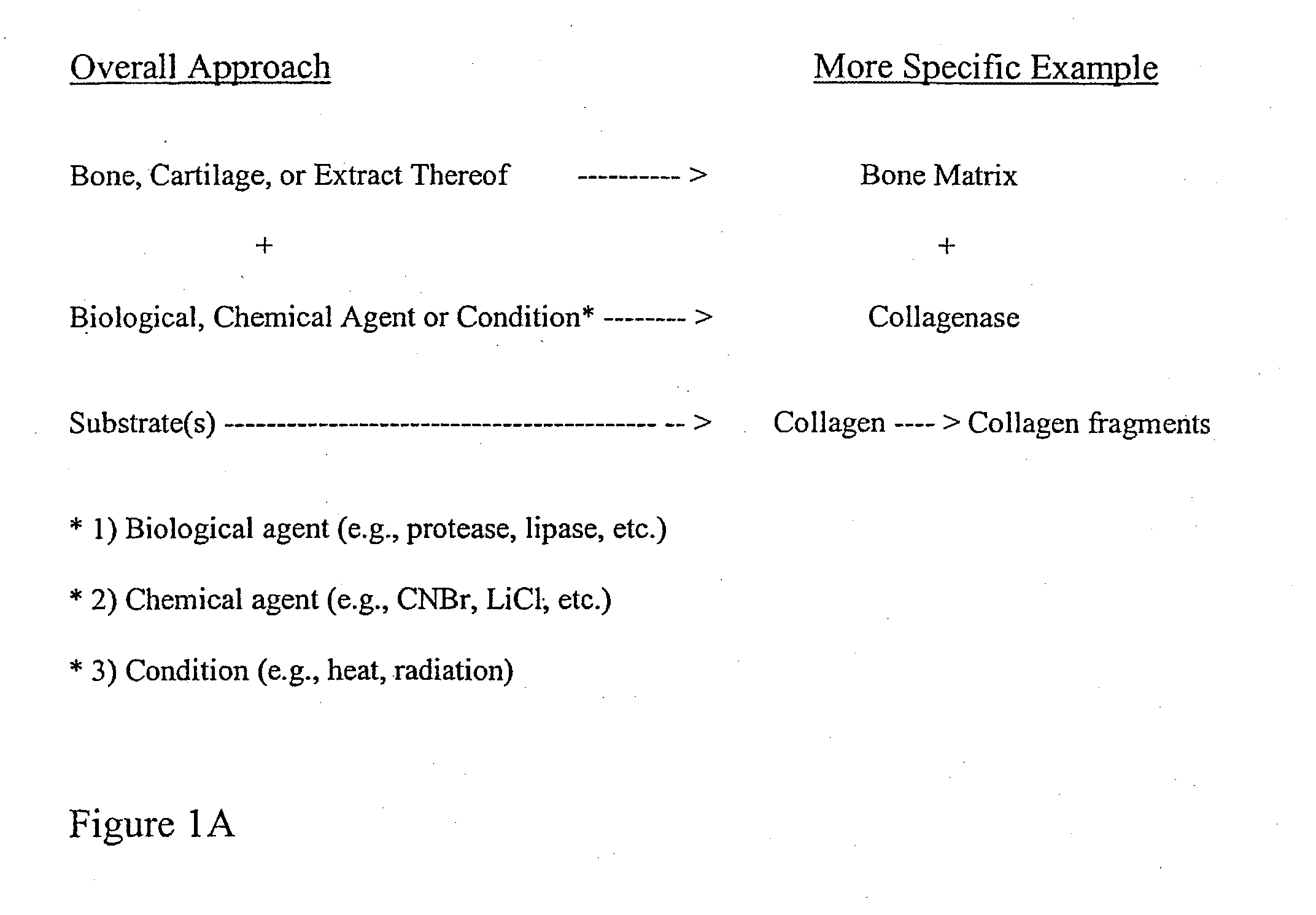 Bone matrix compositions and methods