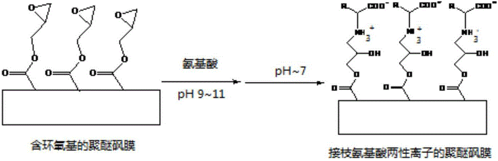 Bio-adhesion-resistant porous separation membrane as well as preparation method and application thereof