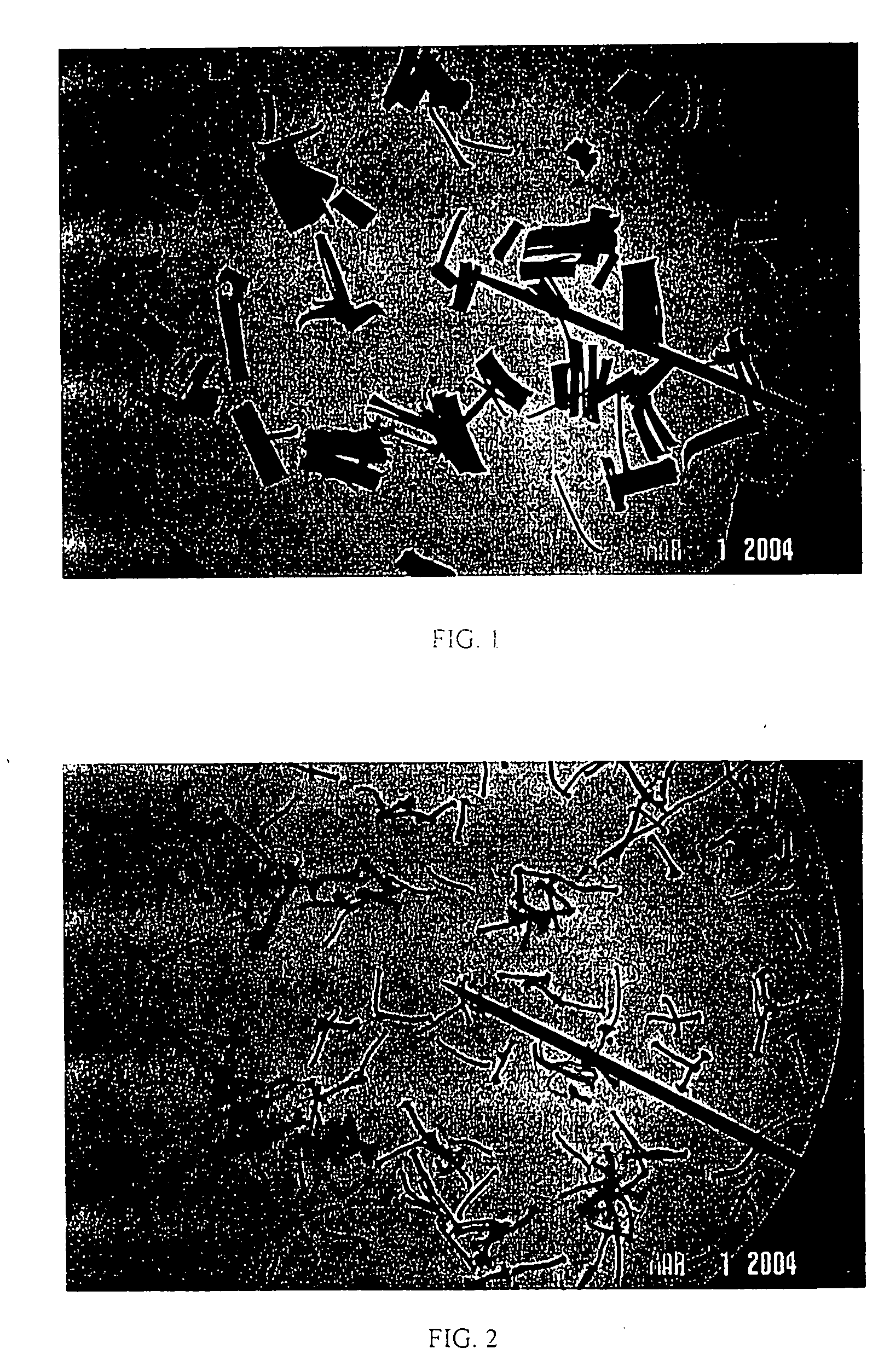 Fiber having increased filament separation and method of making same