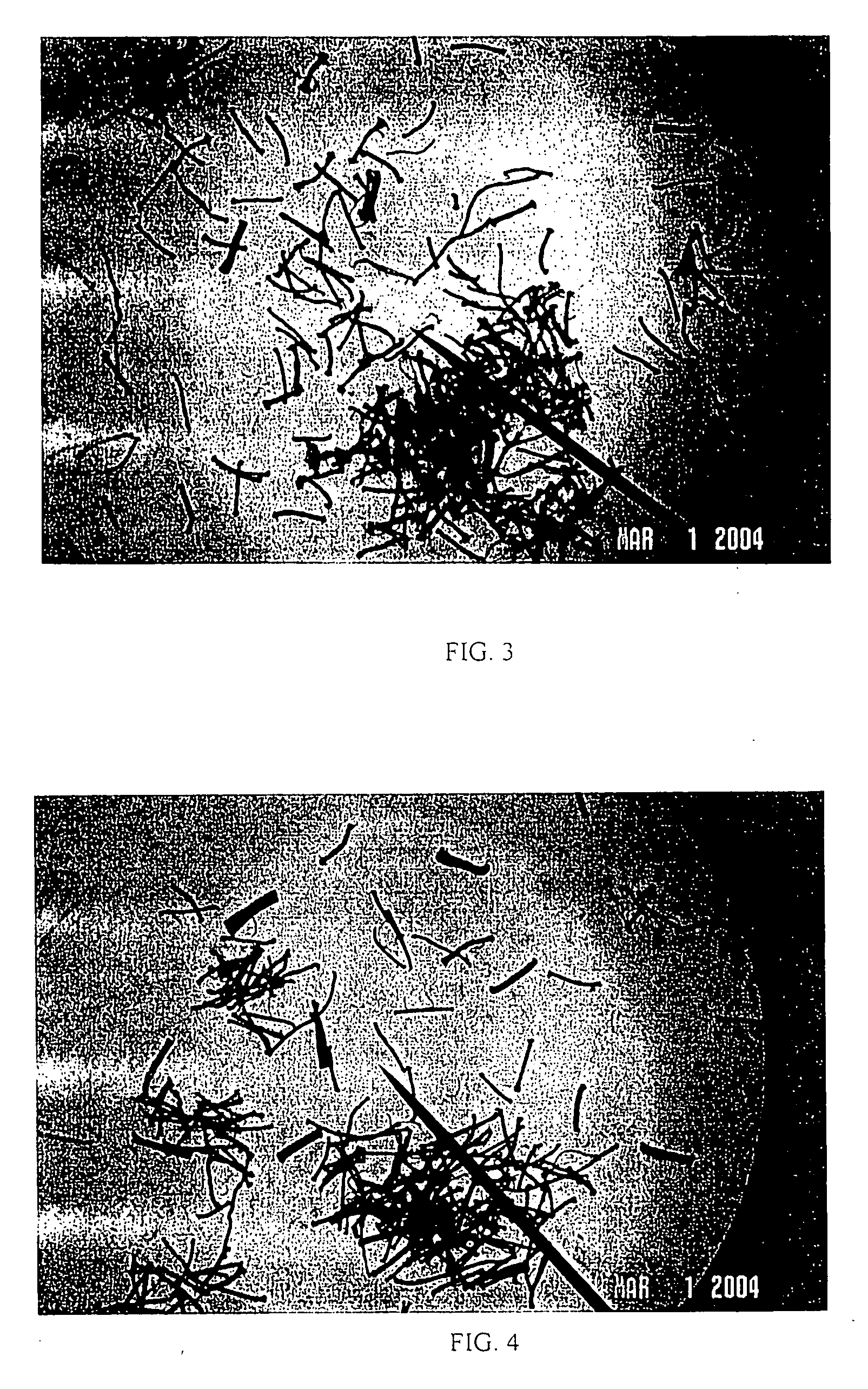 Fiber having increased filament separation and method of making same