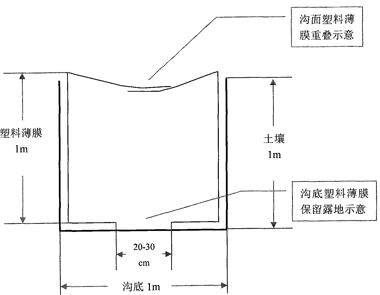 A method suitable for cultivating grape in poor soil regions