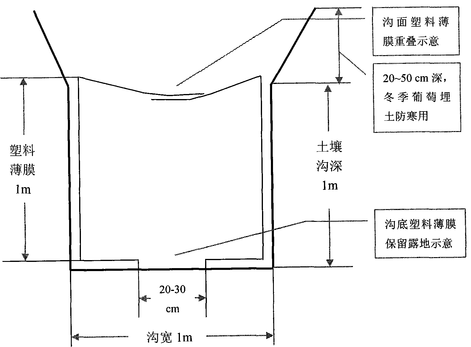 A method suitable for cultivating grape in poor soil regions