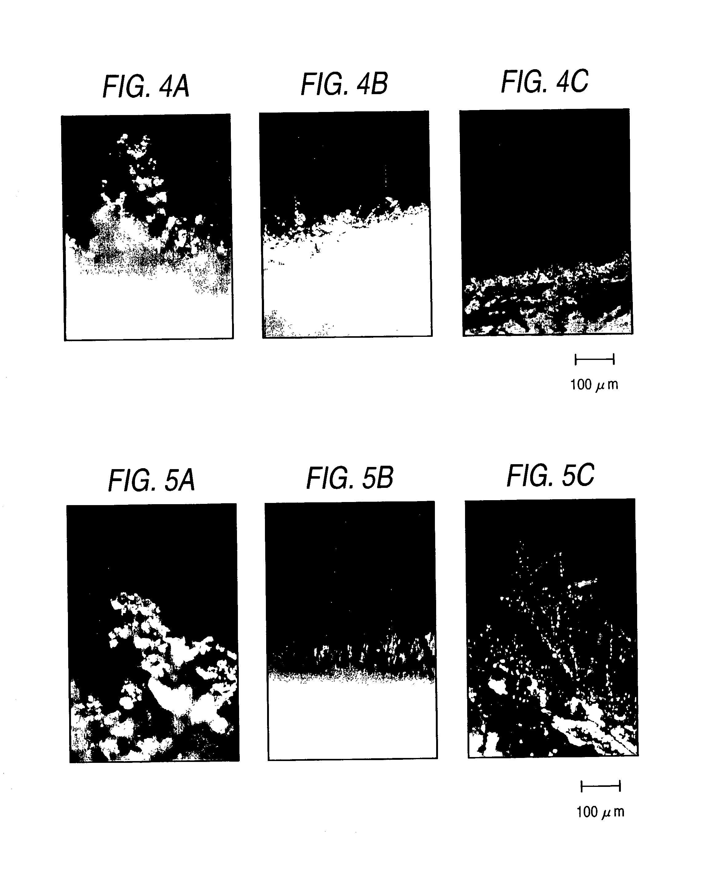 Polymer electrolyte