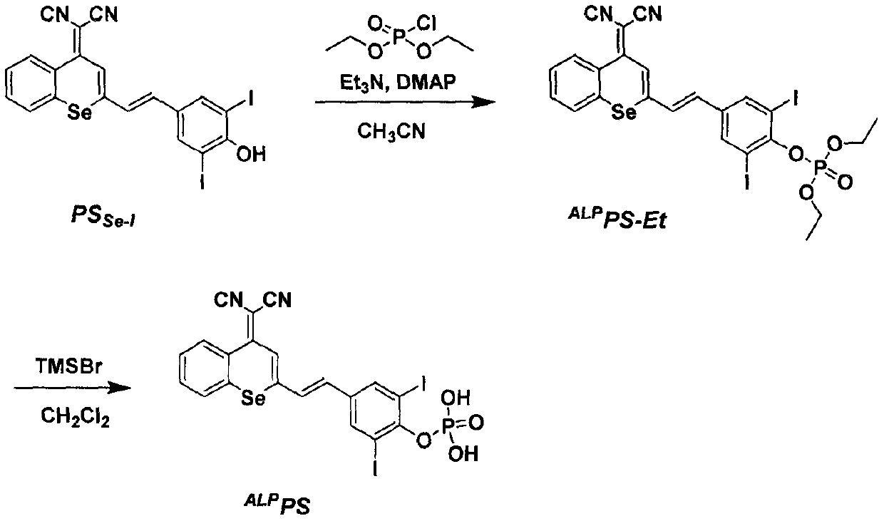 Preparation and application of alkaline phosphatase activated photosensitizer