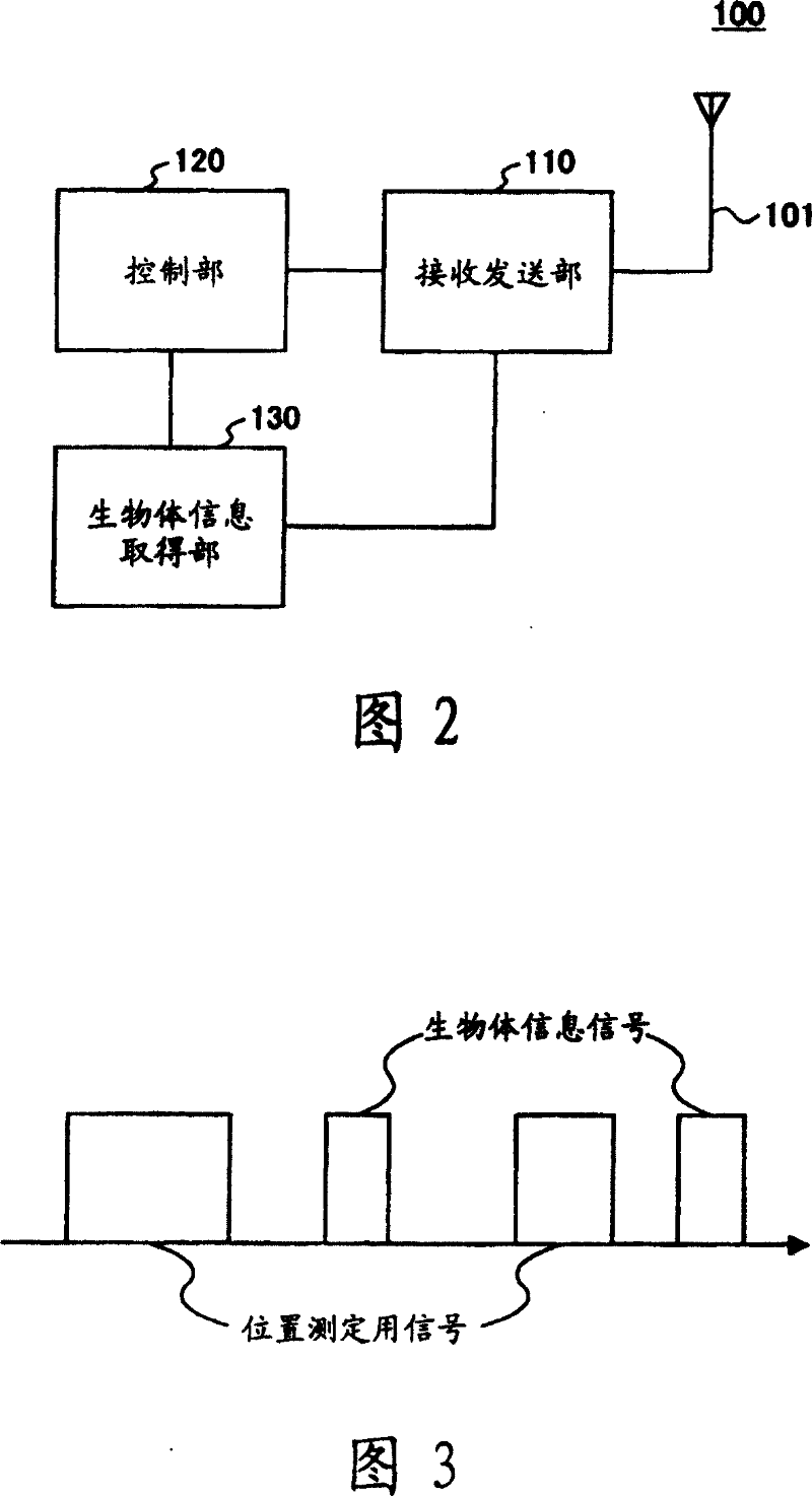 Position measuring method, system and device and radio device in organism