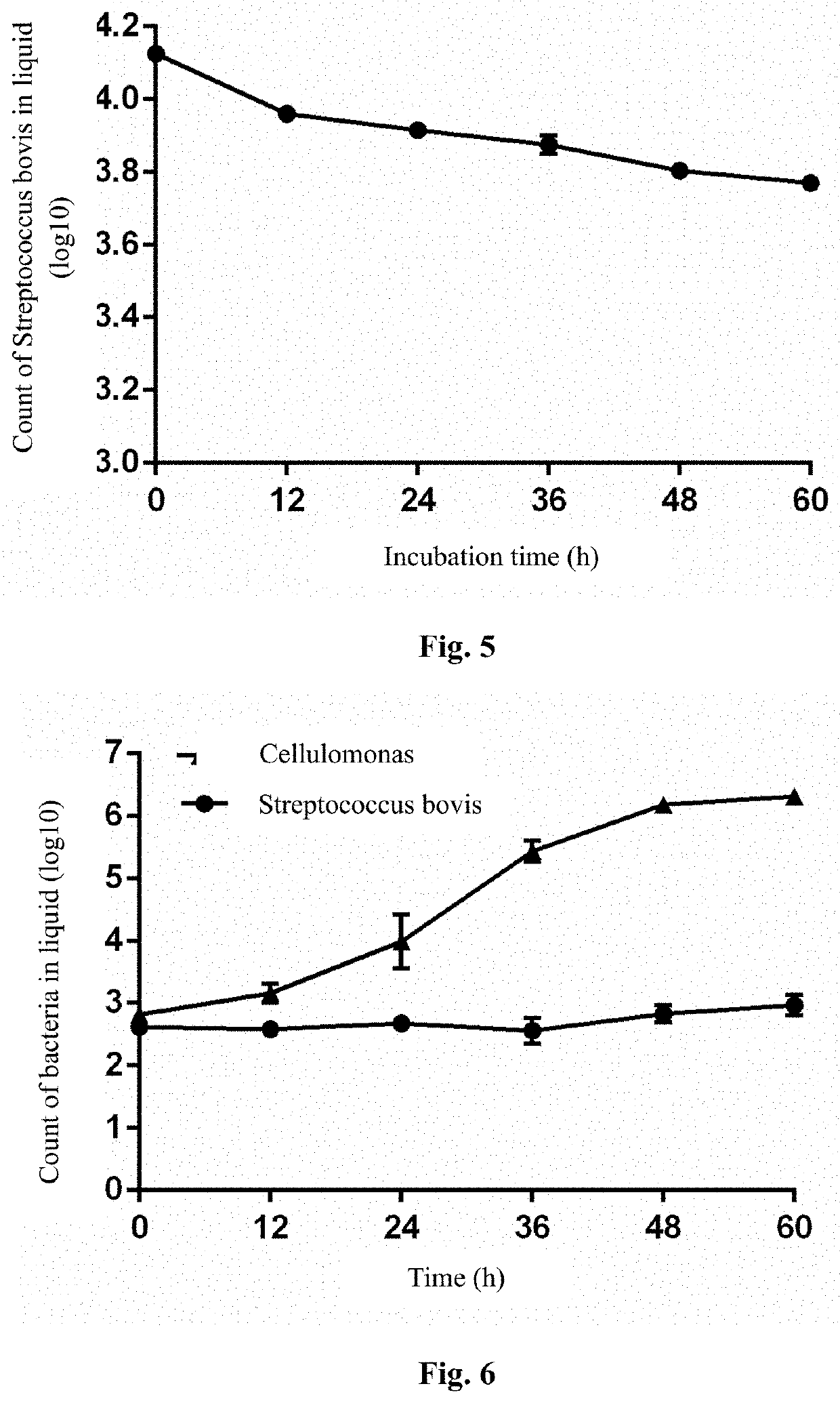 Method for enriching and separating anaerobic fiber-degrading bacterium on the basis of cellulosic magnetic nanoparticles