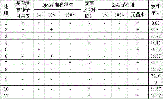 Method for promoting germination of elaeagnus mollis seed