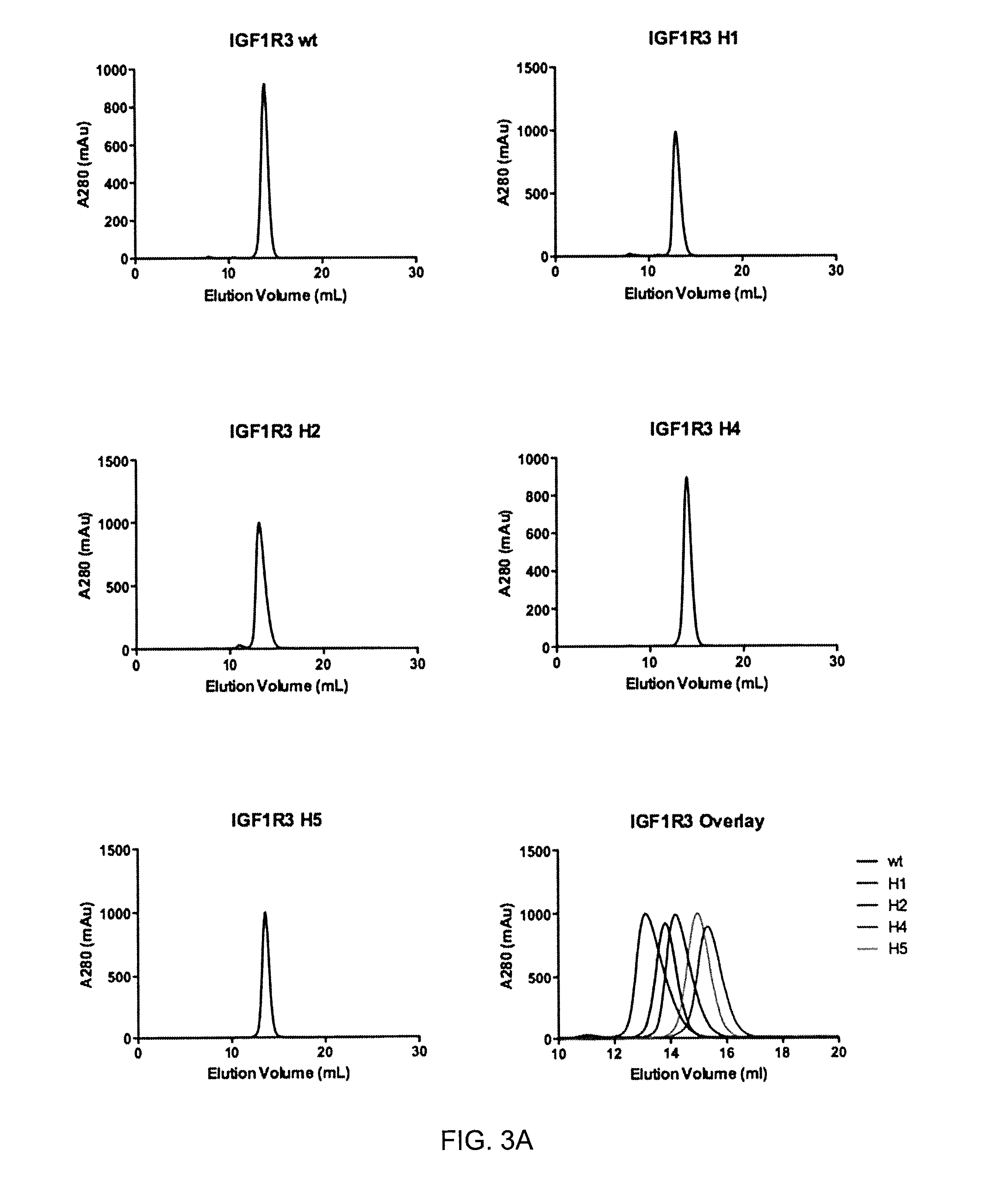 Insulin-like growth factor 1 receptor -specific antibodies and uses thereof