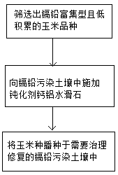 Cadmium-lead contaminated farmland passivation and low-accumulation plant repairing method