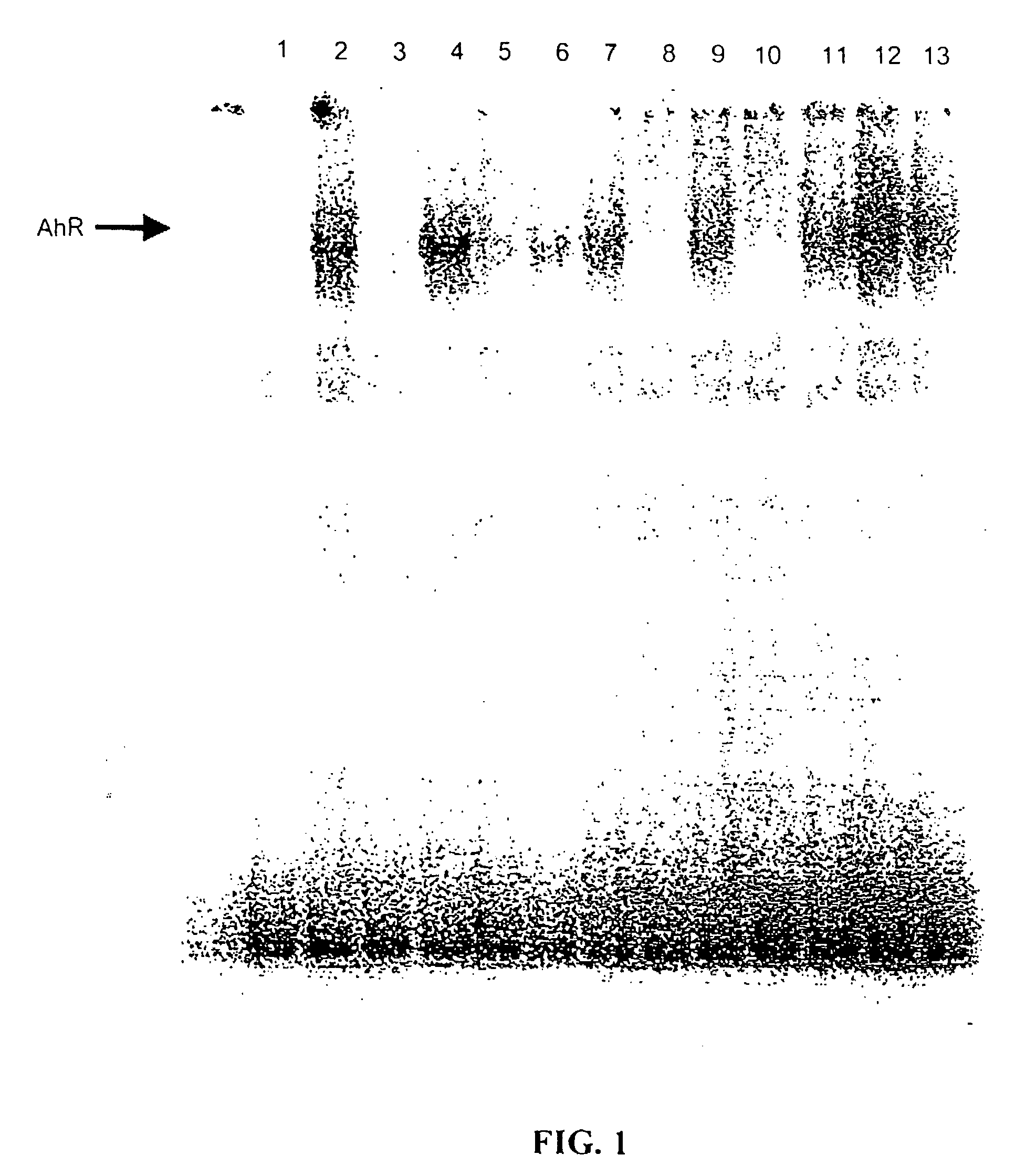 Compositions containing C-substituted diindolylmethane compounds