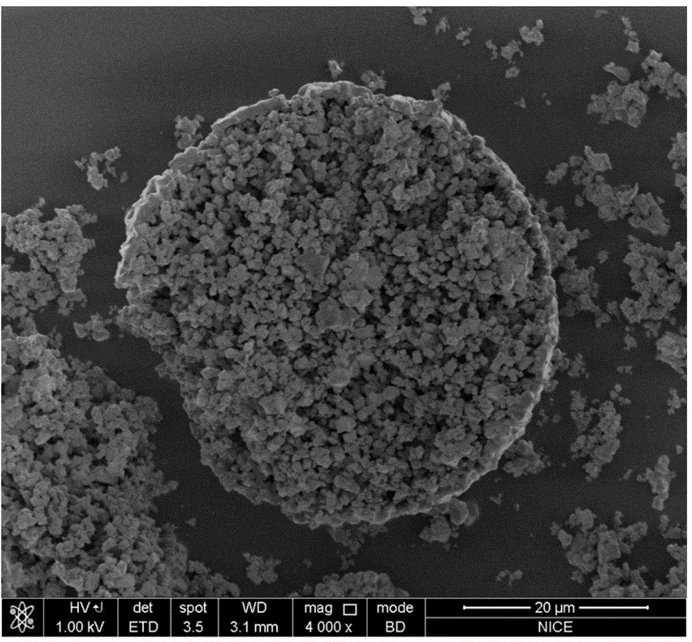 Composite magnetic micro-sphere and method for preparing same