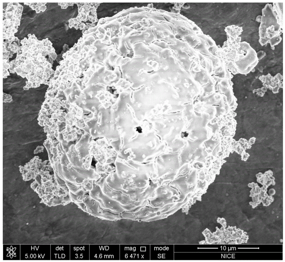 Composite magnetic micro-sphere and method for preparing same