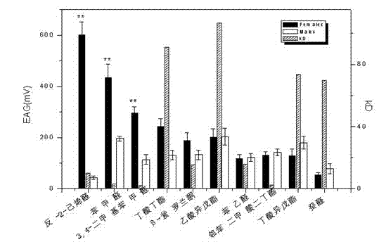 Citrus fruit fly odorant binding protein-based attractant screening method