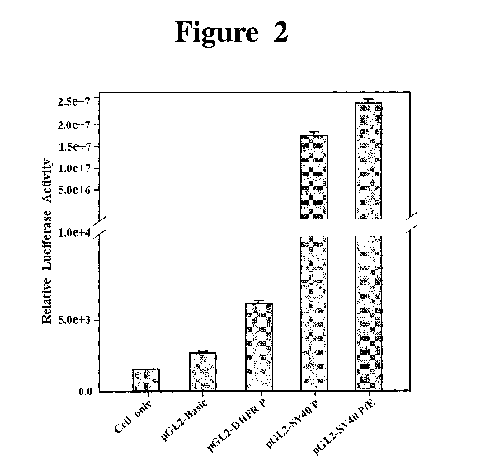 Recombinant expression vector for animal cell