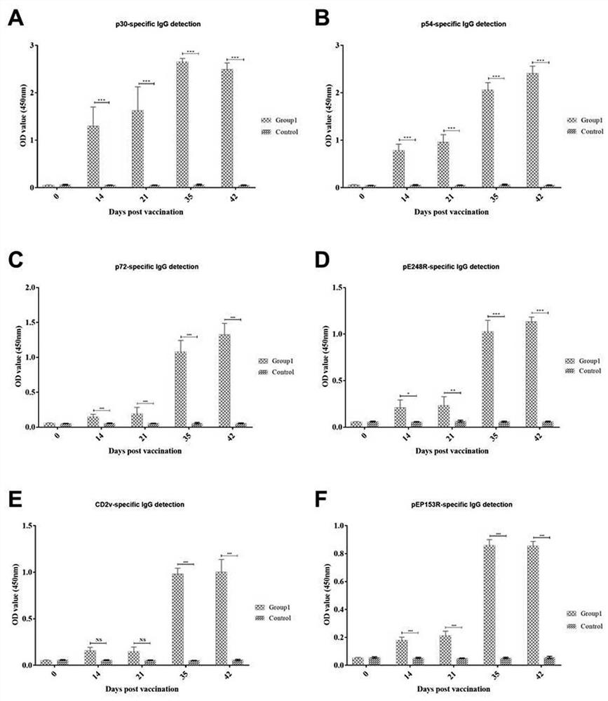 Recombinant African swine fever virus antigen cocktail vaccine and application thereof