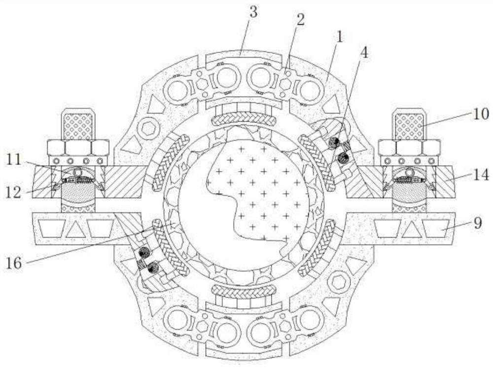 Anti-vibration quick fixing device for chain type hoop