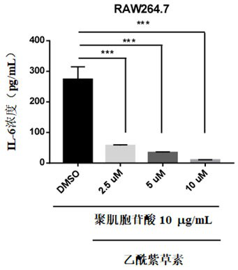 Application of acetylshikonin in preparation of medicine for resisting lung inflammatory factor storm