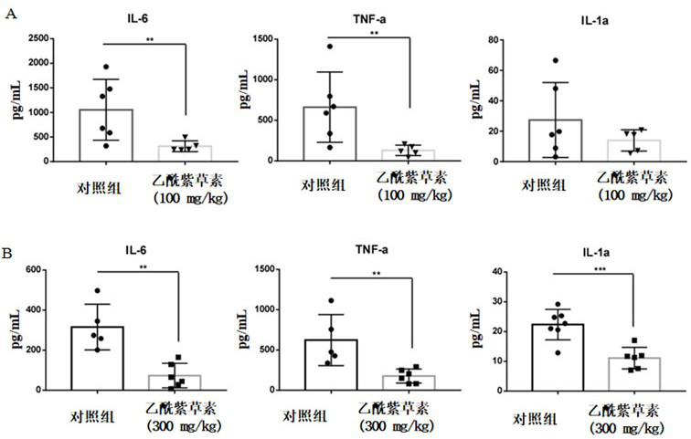 Application of acetylshikonin in preparation of medicine for resisting lung inflammatory factor storm