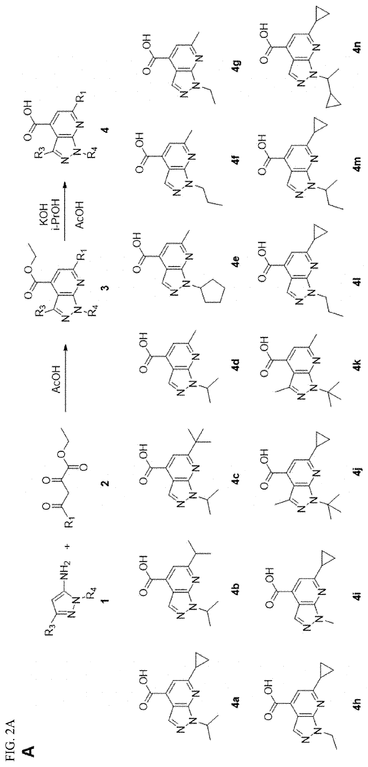 Compositions and methods for inhibiting virus protein 2c activity and for preventing and treating non-polio enterovirus infection