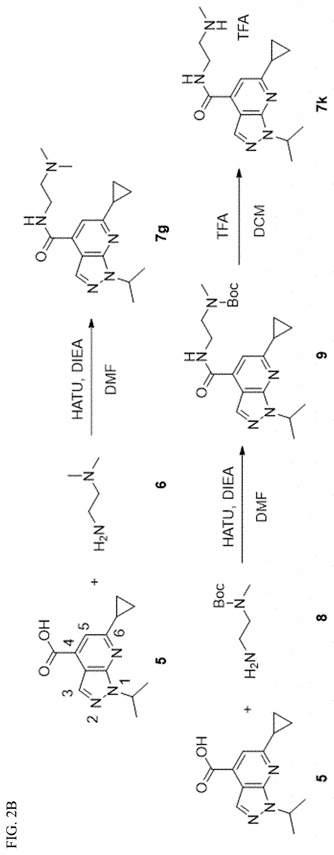 Compositions and methods for inhibiting virus protein 2c activity and for preventing and treating non-polio enterovirus infection