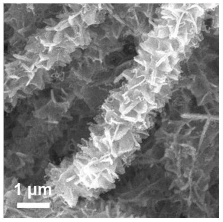 Flexible self-supporting Co-embedded N-doped three-dimensional porous carbon-based material as well as preparation method and application thereof