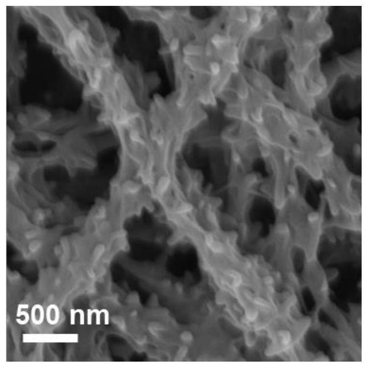 Flexible self-supporting Co-embedded N-doped three-dimensional porous carbon-based material as well as preparation method and application thereof