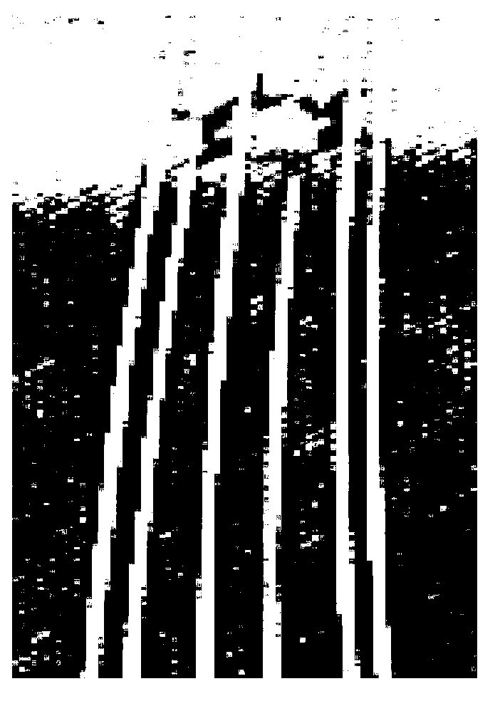 Method for positioning spacers of transmission lines by aid of video image processing technology