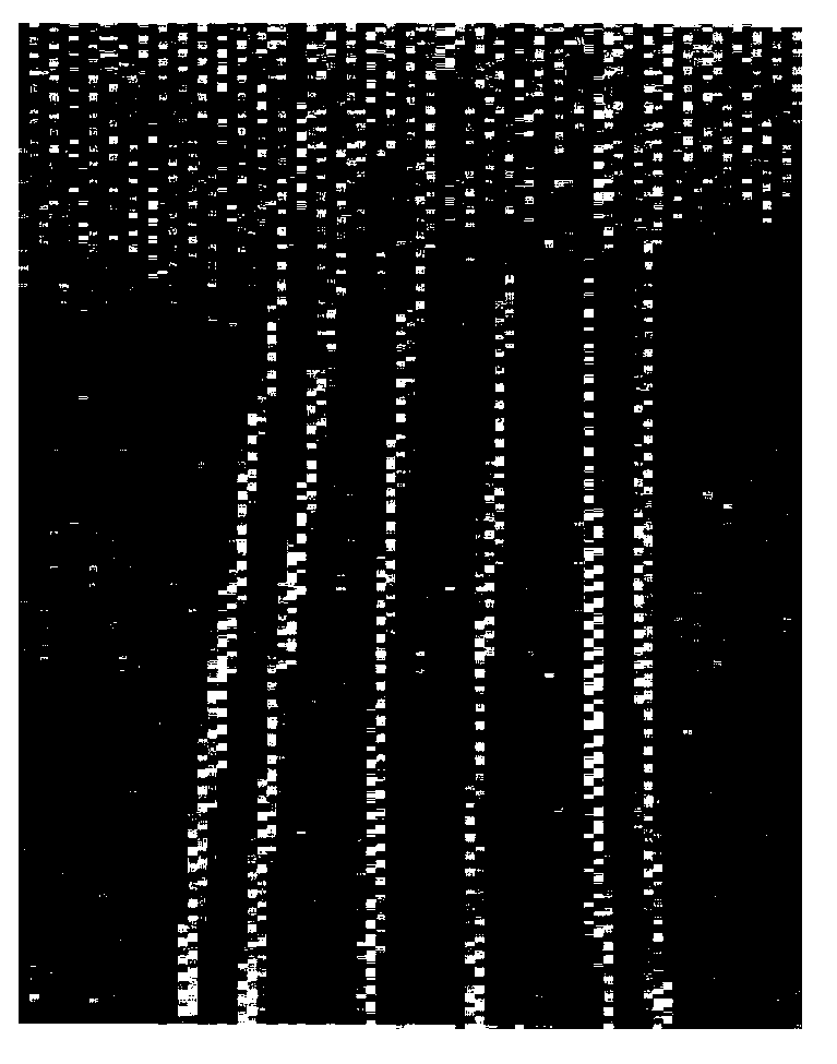 Method for positioning spacers of transmission lines by aid of video image processing technology