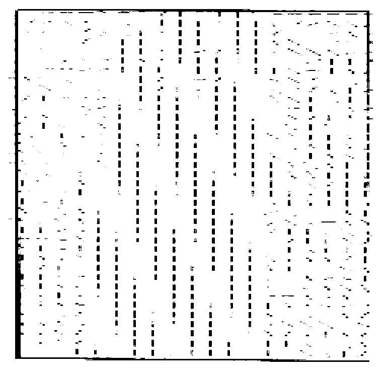 Method for positioning spacers of transmission lines by aid of video image processing technology