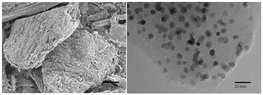 A preparation and application method of PCBS-contaminated soil in-situ remediation agent based on waste biomass