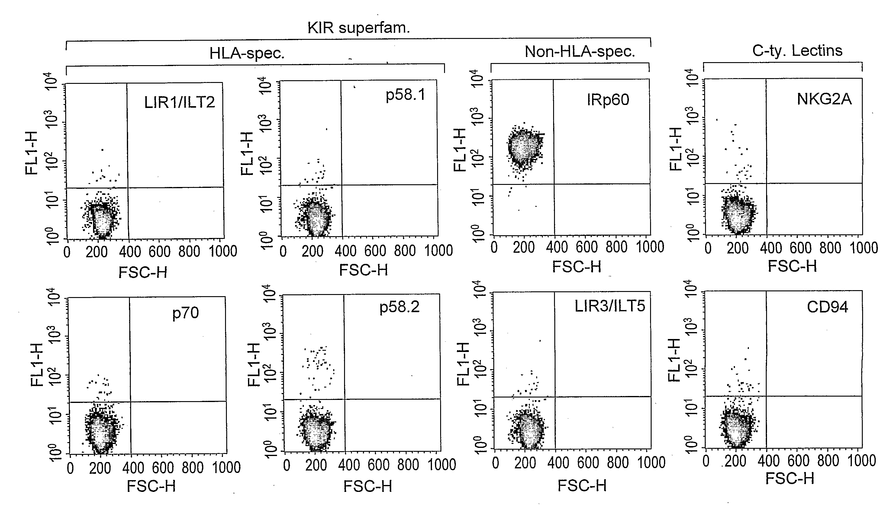 Bi-Specific Complexes for Targeting Cells Involved in Allergic-Type Reactions, Compositions and Uses Thereof