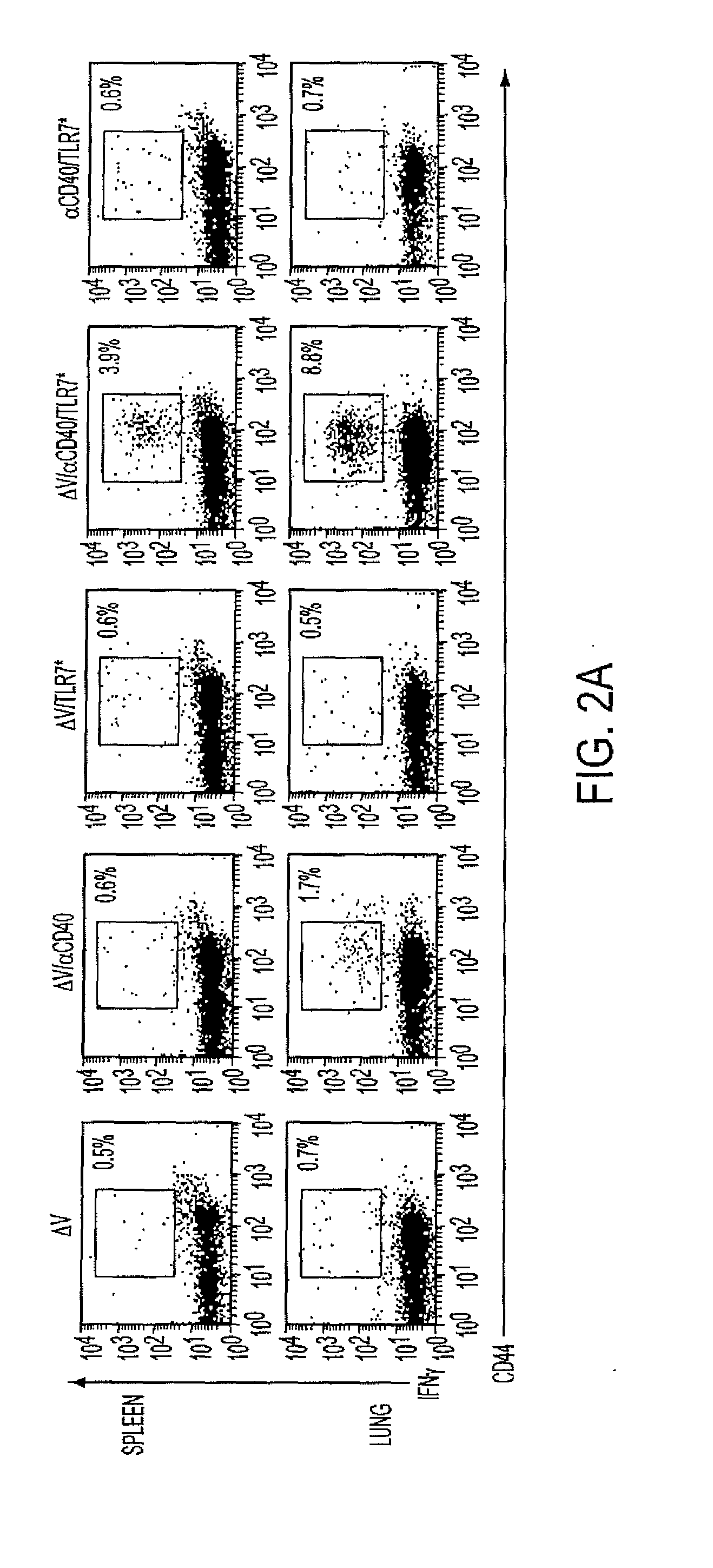 Use of tlr agonists and/or type 1 interferons to alleviate toxicity of tnf-r agonist therapeutic regimens