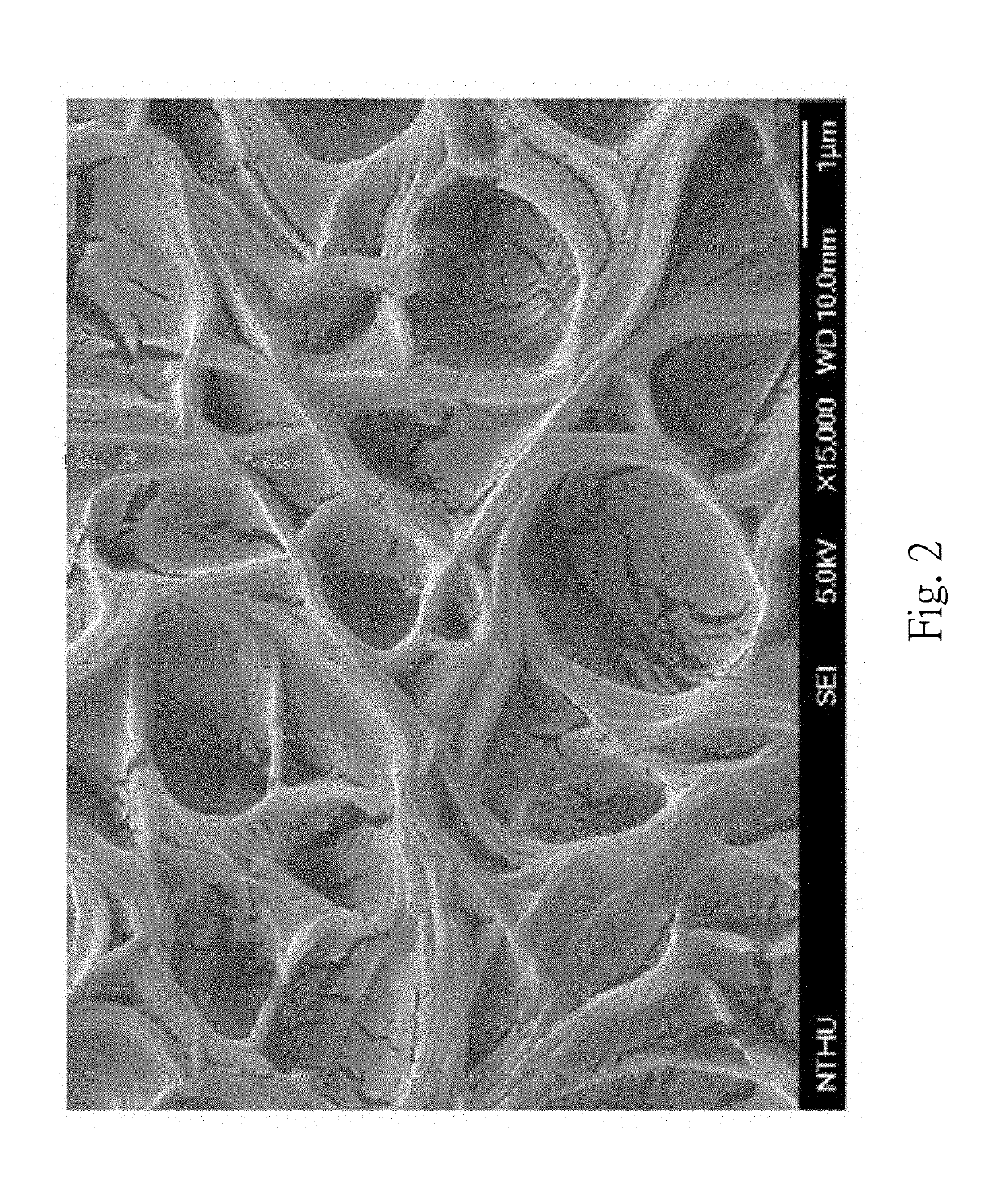 Method of promoting electric output of piezoelectric/conductive hybrid polymer