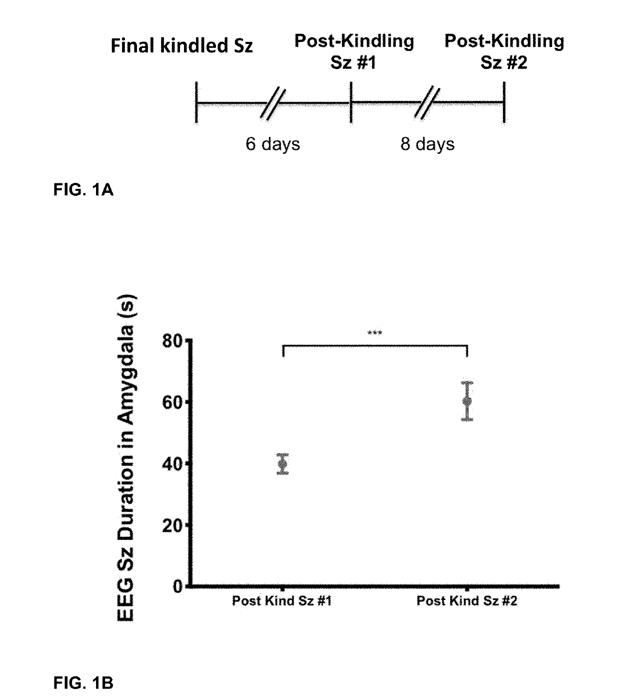 Methods for the Prevention or Treatment of Epilepsy