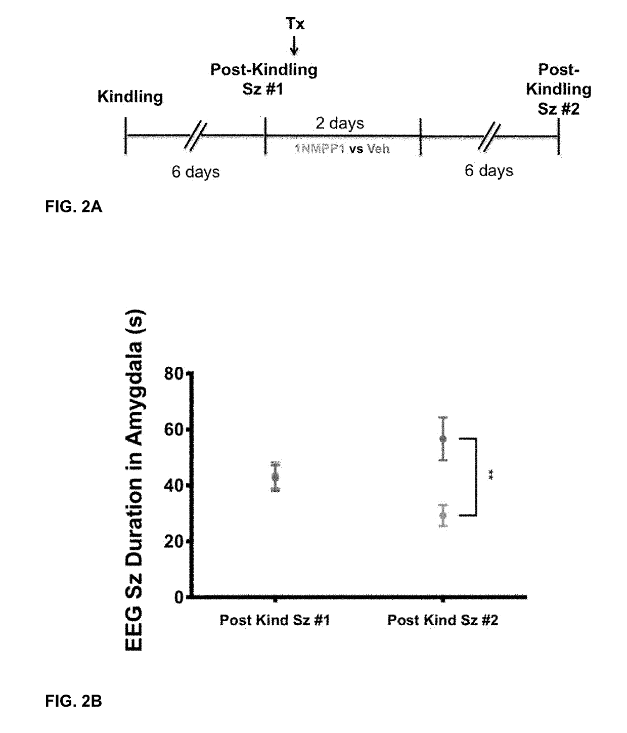 Methods for the Prevention or Treatment of Epilepsy